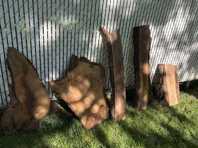 Live edge Black walnut