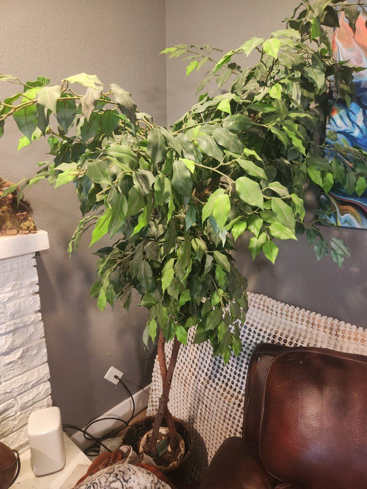Artificial Ficus Tree Potted Fake Indoor Plant Floor Decor