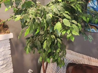 Artificial Ficus Tree Potted Fake Indoor Plant Floor Decor