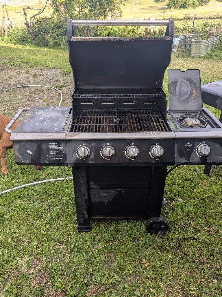 Bbq
