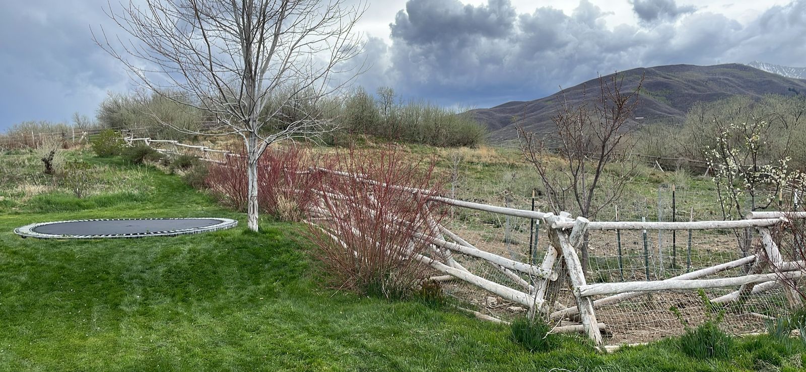 Buck Rail Fence - FREE