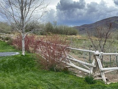 Buck Rail Fence - FREE