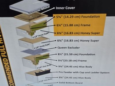 Complete Beekeeping Setup – Hive, Supers, Frames, Tools & Accessories – Ready for Bees