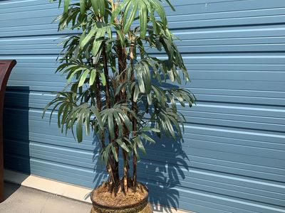 Indoor artificial tree $60 OBO