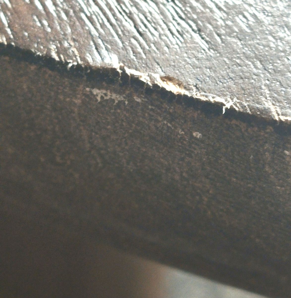 Main image 5
