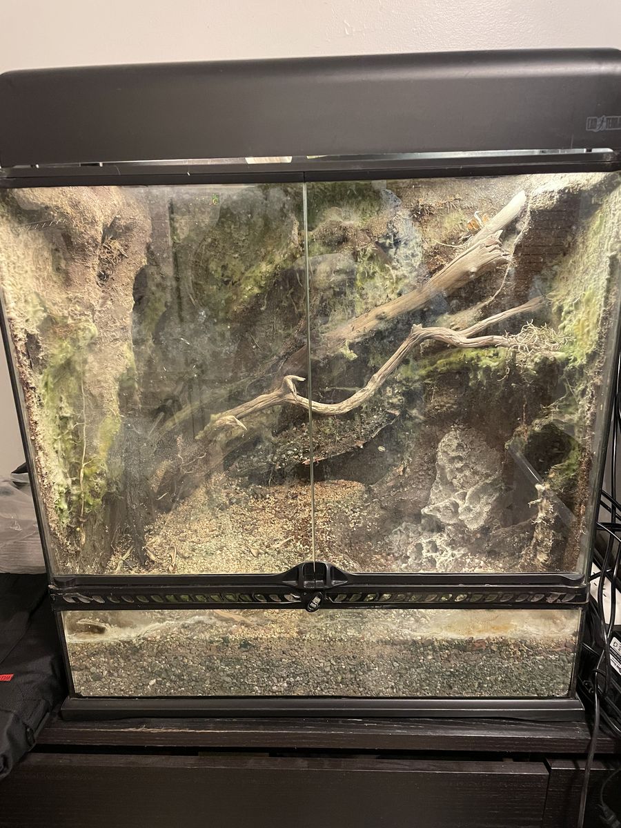 Two Fully Built Exo Terra Vivariums (minus plants) + Lights! 