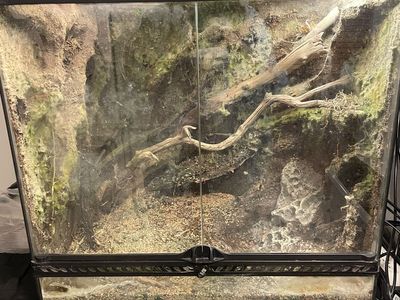 Two Fully Built Exo Terra Vivariums (minus plants) + Lights!