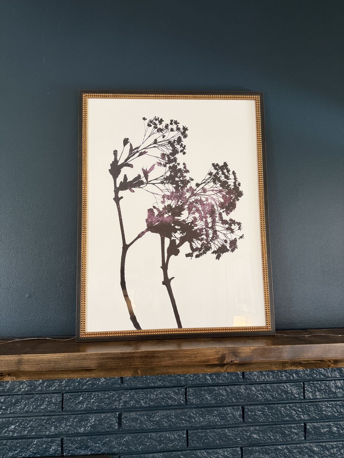 Framed Botanical Silhouette Artwork (Anthropologie)