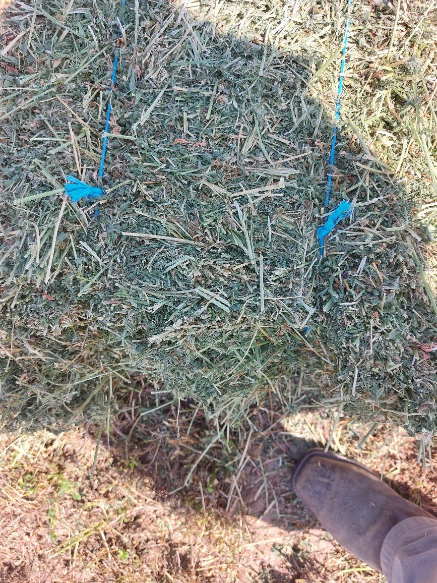 Premium alfalfa