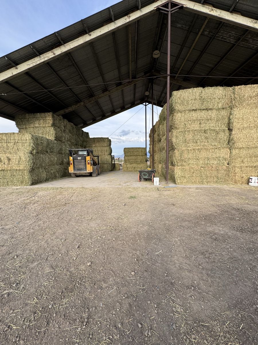 3x4 1200-1300 lb bales