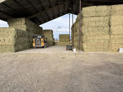 3x4 1200-1300 lb bales
