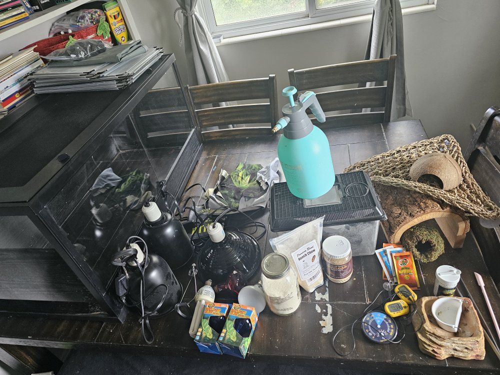 Main image 5