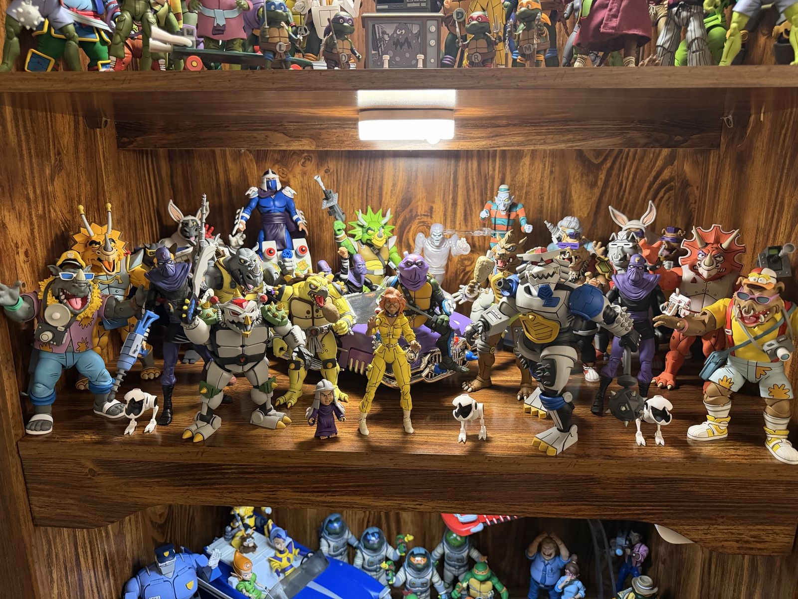 Main image 4