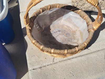 Wicker Plant Basket with Plastic Liner and Handle
