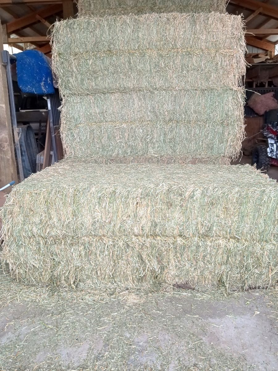 3x4x8 Alfalfa Hay for Sale