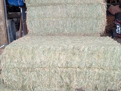 3x4x8 Alfalfa Hay for Sale