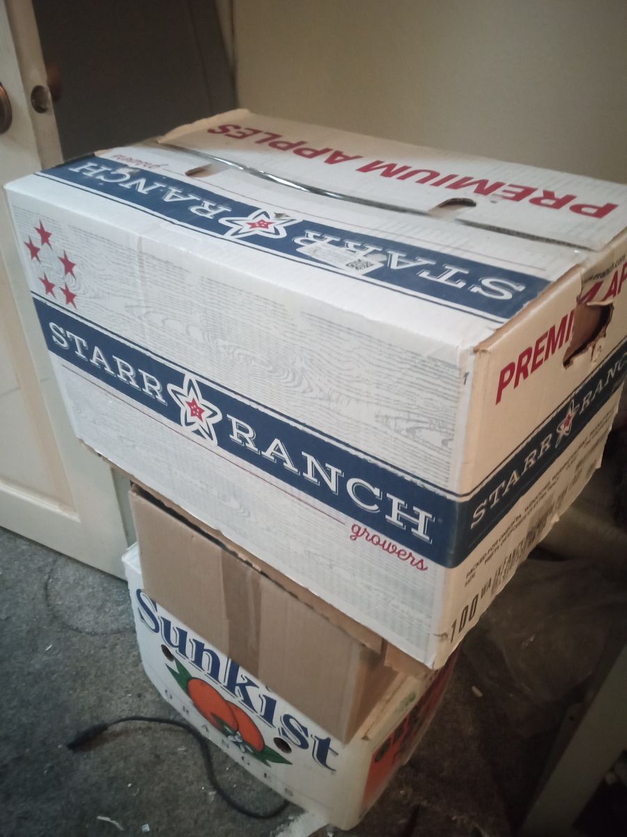 Free expired canned food