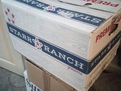 Free expired canned food