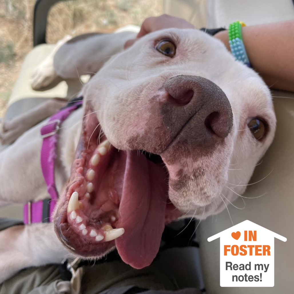 Hello my name is Mai Tai