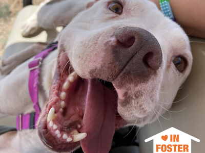 Hello my name is Mai Tai