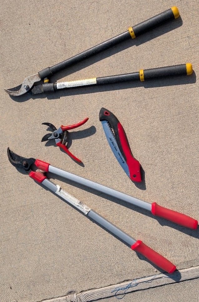 Yard Pruning Tool Set - Loppers, Hand Pruners, Folding Saw Corona