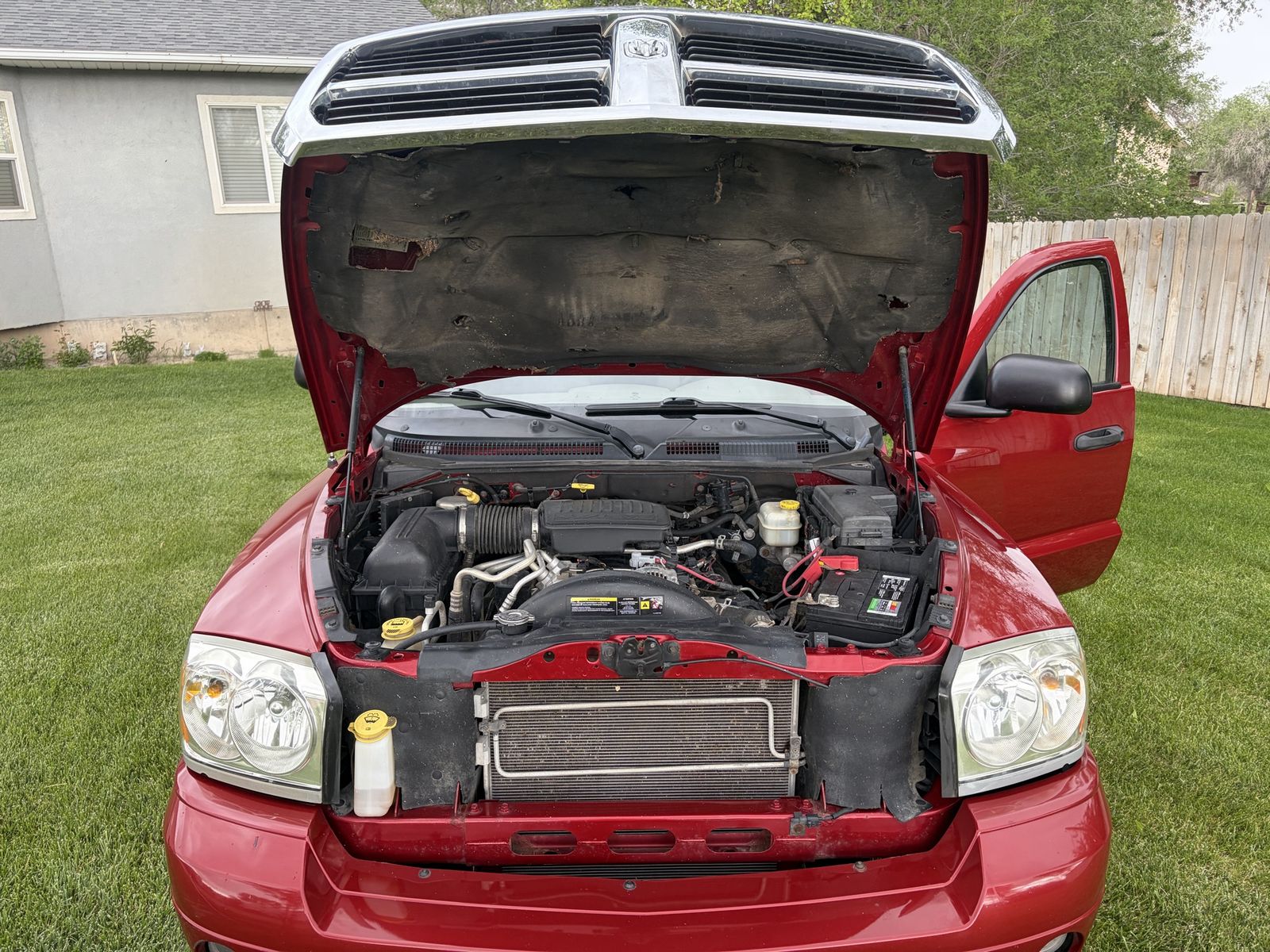 Main image 8