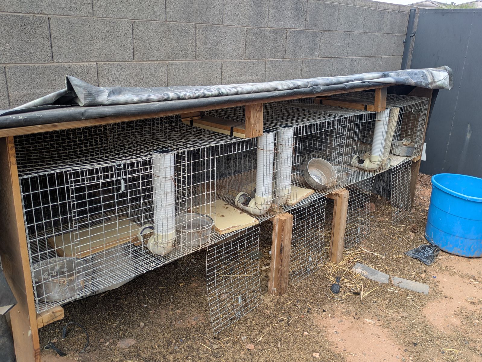 5 hole rabbit hutch