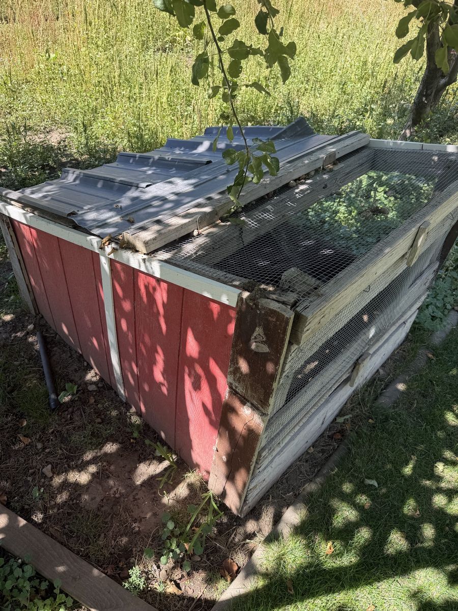Small chicken coop for young chicks