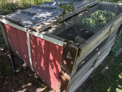 Small chicken coop for young chicks