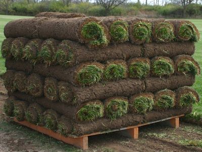 sod at the IFA in Draper