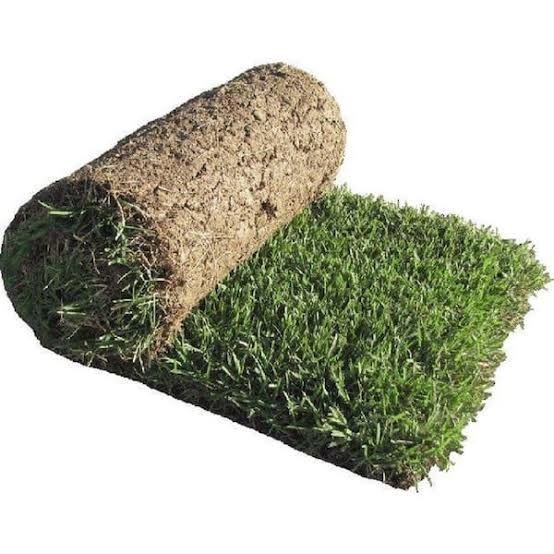 4 Rolls Of Sod