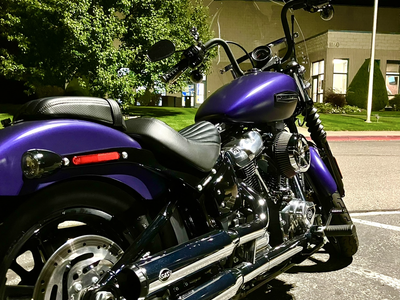 2025 Harley-Davidson Street Bob 117 Denim Purple