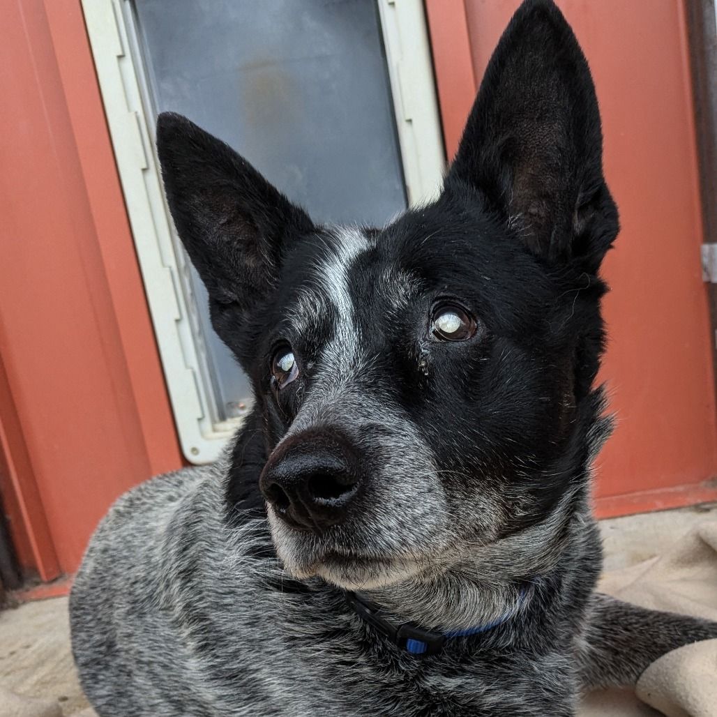 Hello my name is Rue