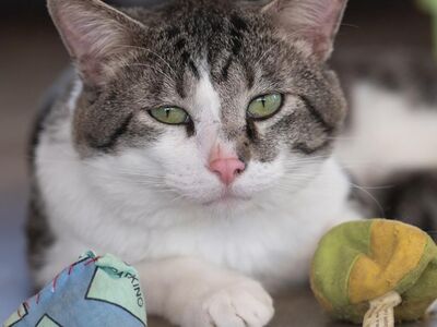 Hello my name is Anthony