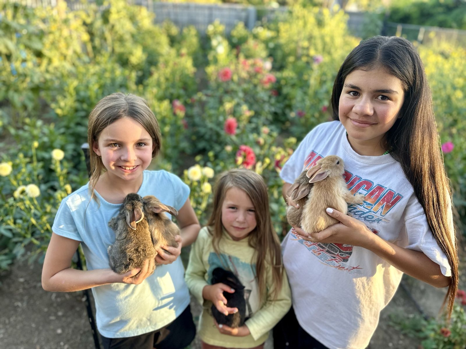 Cute Baby Bunnies!!  - Multiple Colors Available