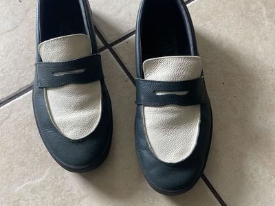 Vans Skate Loafers