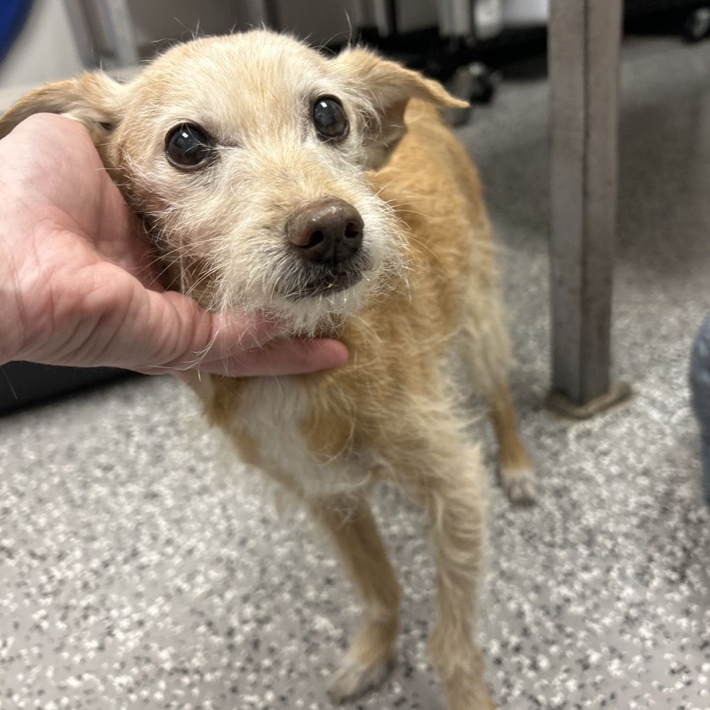 Hello my name is Wilma