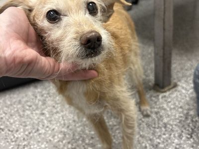 Hello my name is Wilma