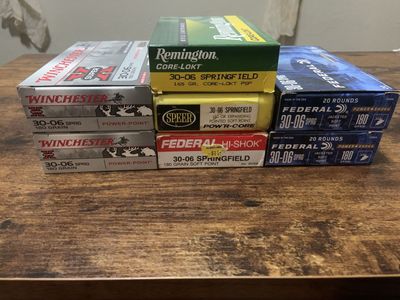 30-06 Ammo