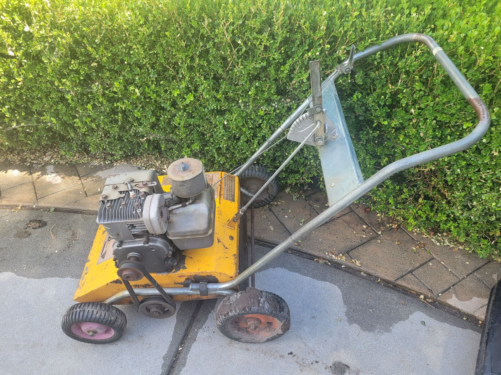 Yard Vac Dethatcher