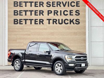 2021 FORD F150 Platinum