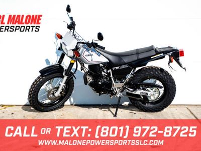 2026 Yamaha TW200 Gallant Gray - Y04548-ER