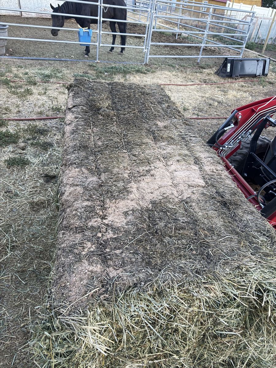 Grass/Alfalfa Hay