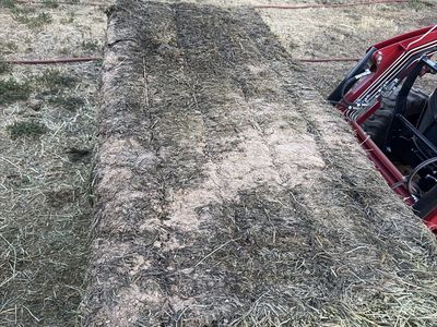 Grass/Alfalfa Hay