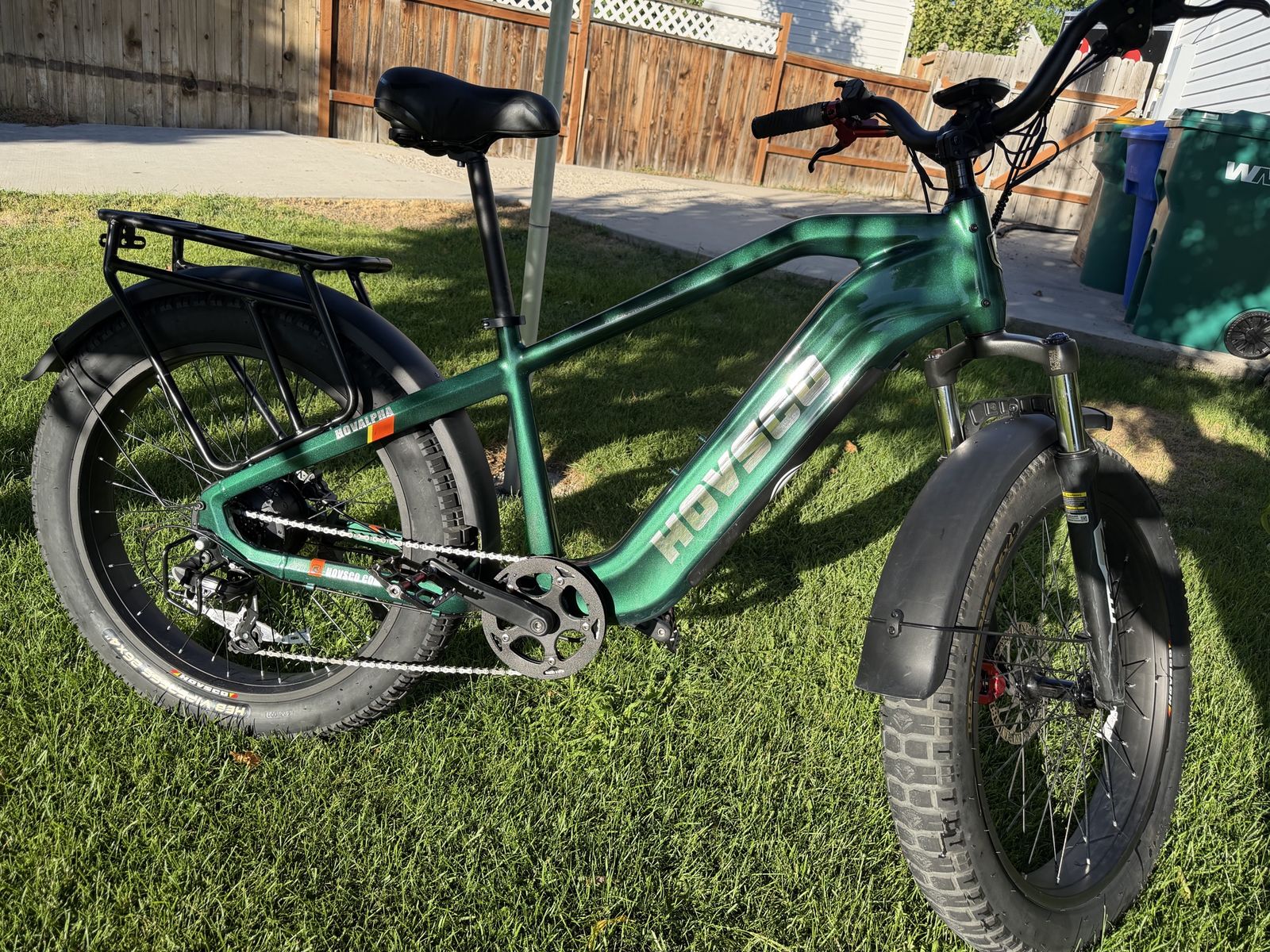 Fat Tire e-Bike - well taken care of.