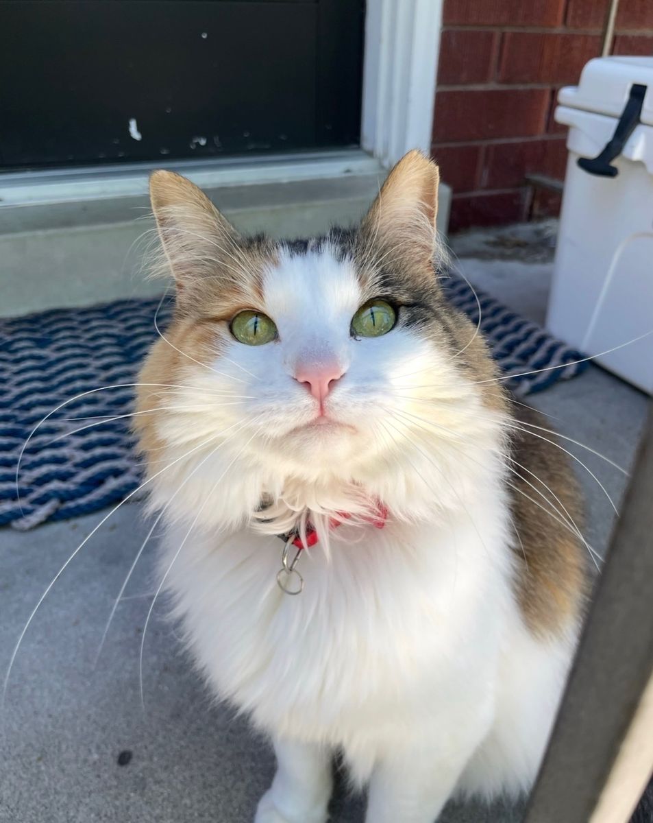 Missing Female Granddaughter