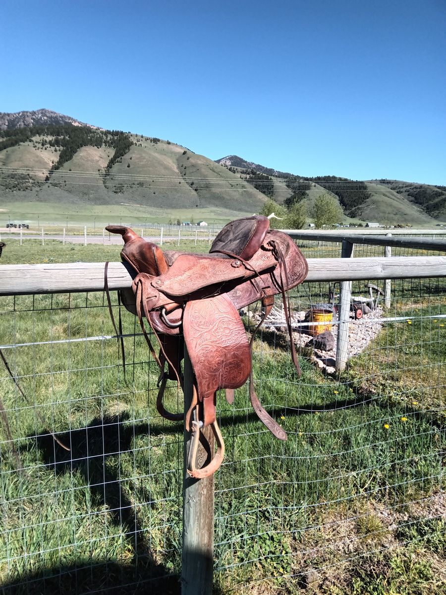 saddle