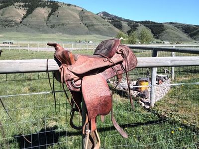 saddle