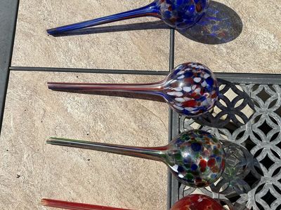 Self Watering Bulbs
