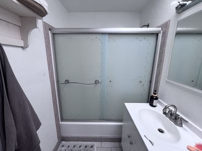 Free Frosted Glass Sliding Shower Doors with Etched Leaf Design